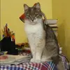 Отзыв от Лера Дорохова